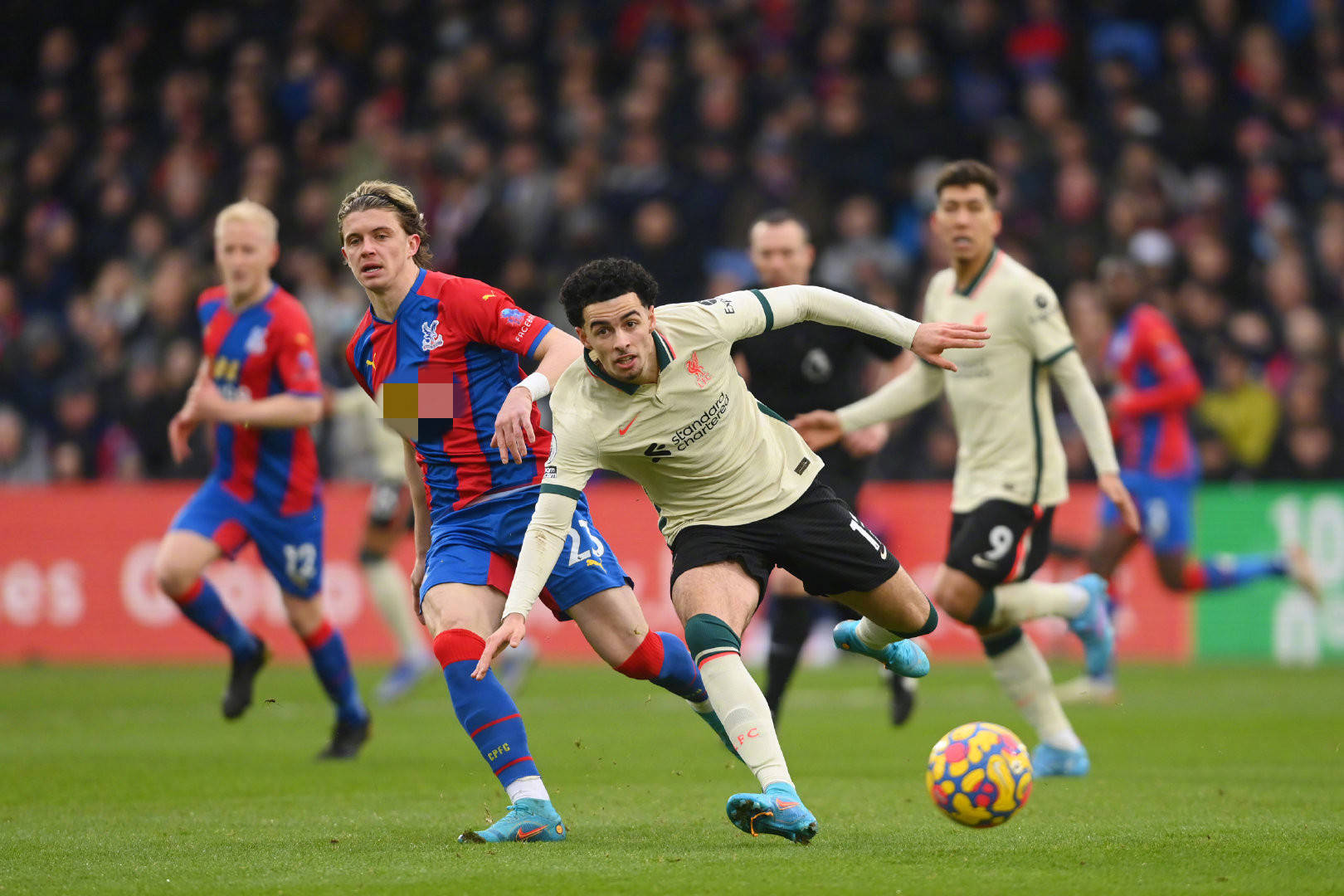 队的未来布 队的未来布